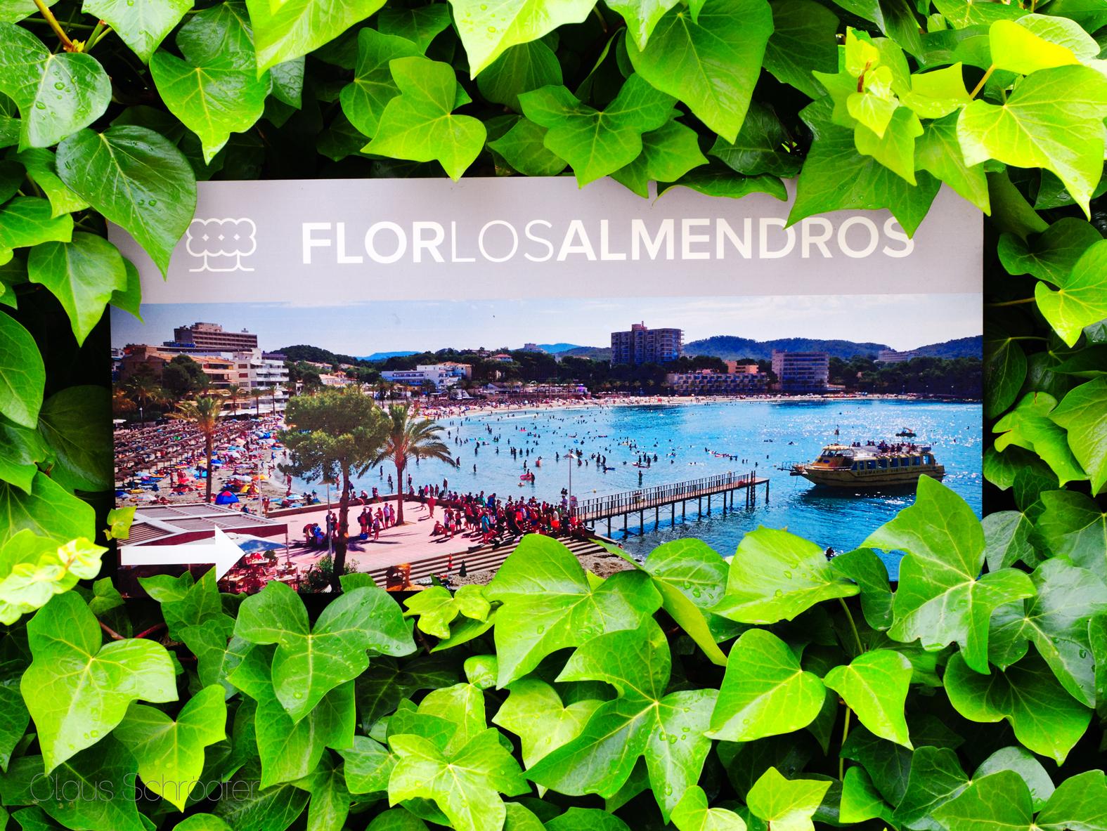 Flor Los Almendros Hotel Peguera Extérieur photo